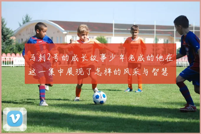 马刺2号的成长故事少年老成的他在这一集中展现了怎样的风采与智慧